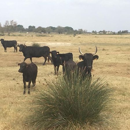 "La Pradeto" Gite Rural Camargue Arles Exterior foto